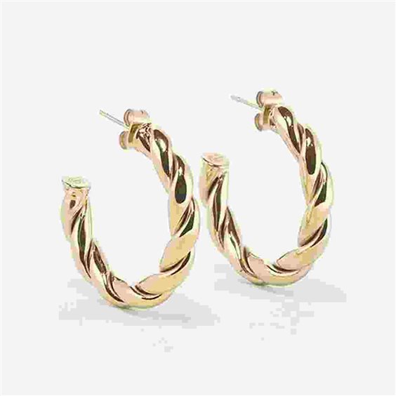 Boucles d'oreilles Zag Bijoux Femme in Acier SEC21331-01UNI5X30 - SEC21331-01UNI5X30